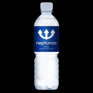 Neptunas Still 0.5l